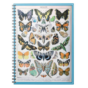 Carnet Liste des papillons Adolphe Millot