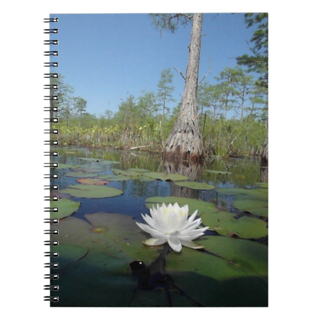 Carnet Lit d'eau 2 (Devant)
