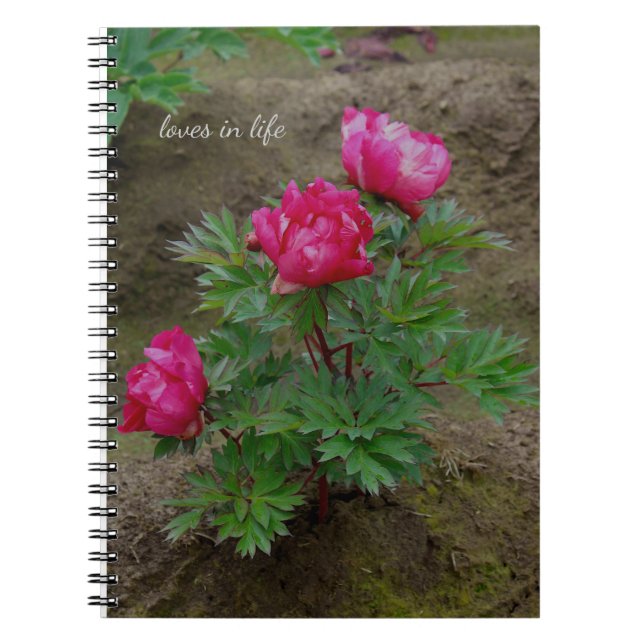 Carnet Little Peony Bush (Devant)