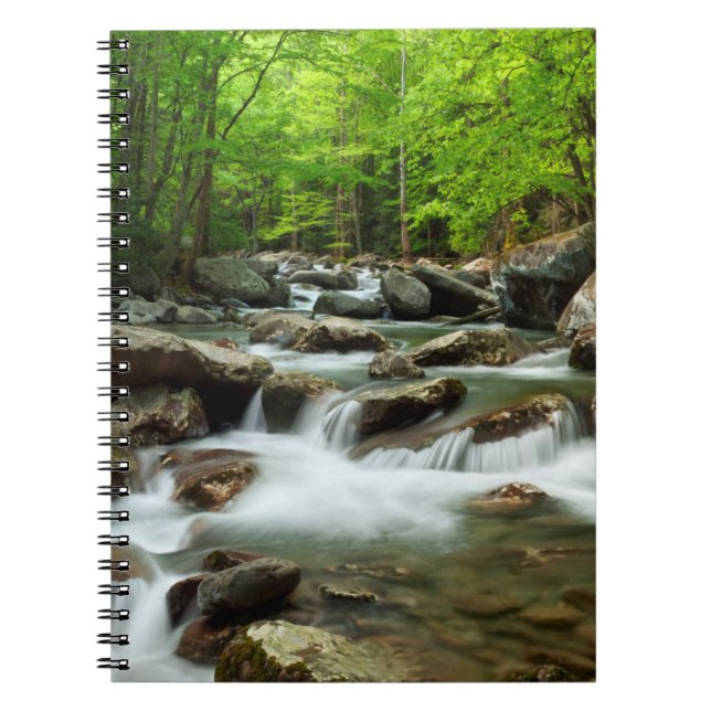 Carnet Little Pigeon River à Greenbrier (Devant)