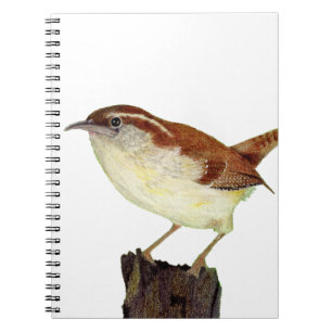 Carnet Little Wren