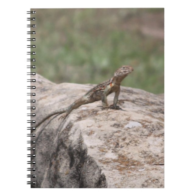 Carnet Lizard (Devant)