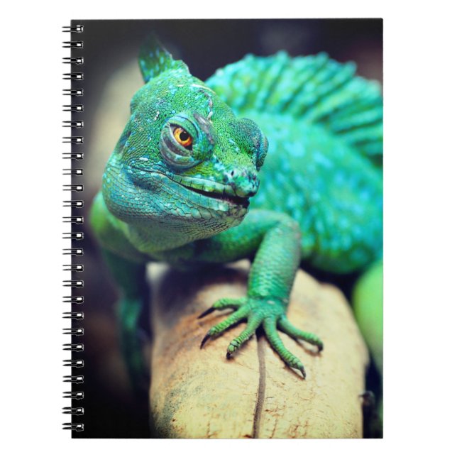 Carnet Lizard (Devant)