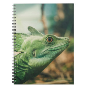 Carnet Lizard regarder de près vue