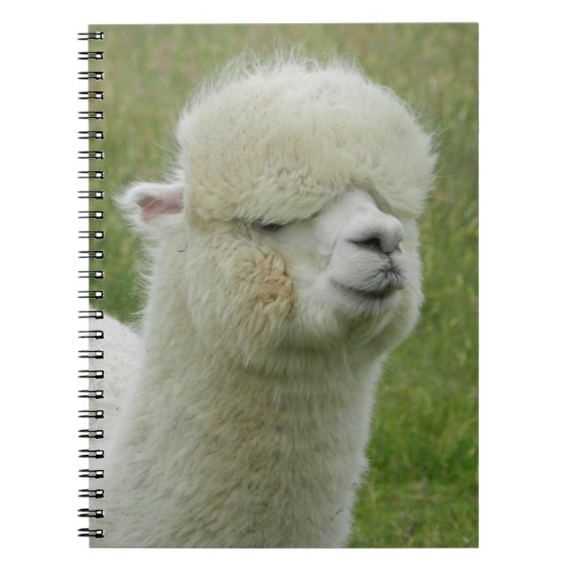 Carnet Llama (Devant)