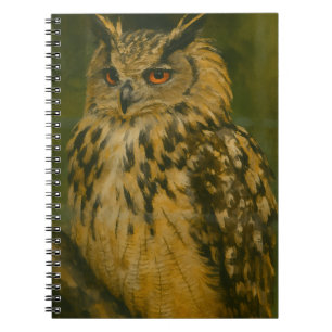 Carnet L'observateur - Aigle eurasien à la lumière du boi