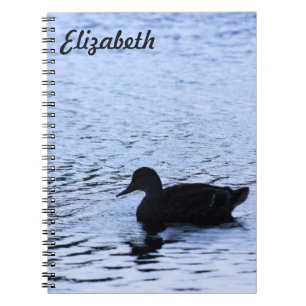 Carnet Lone Duck Wildlife Lake Water Ripples Photography