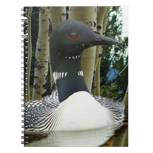 Carnet Loon sauvage (Devant)