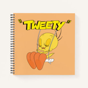 Carnet LOONEY TUNES™ Rires rétro TWEETY™