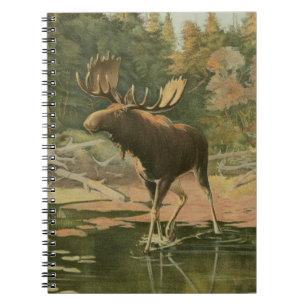 Carnet L'orignal marche dans l'eau