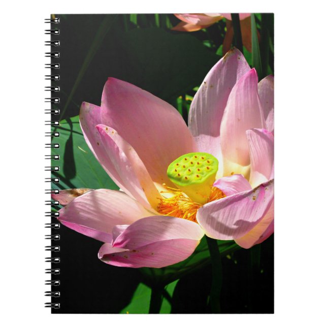 Carnet Lotus Blossom (Devant)