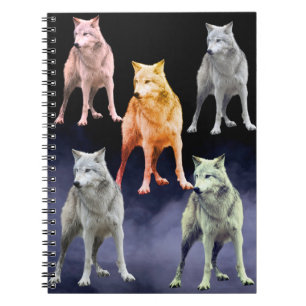 carnet loup