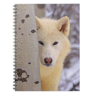 Carnet Loup blanc
