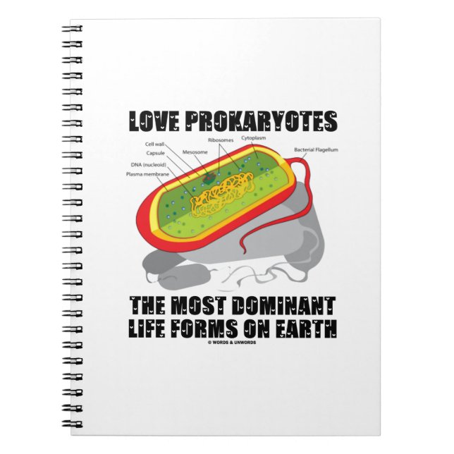 Carnet Love Prokaryotes Les Formes De Vie Les Plus Domina (Devant)