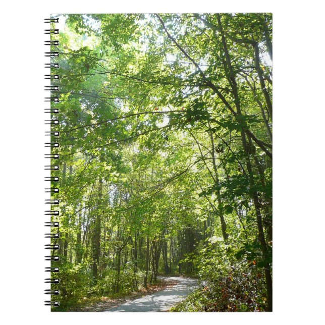 Carnet Lumière du soleil sur le chemin en bois au Centenn (Devant)