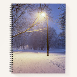 Carnet Lumières de rue et couvert de neiges