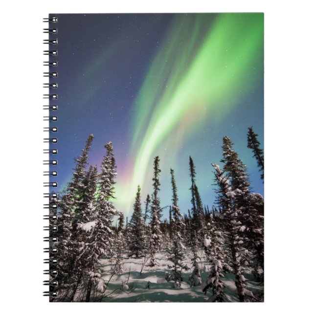 Carnet Lumières du Nord | Parc national de Denali (Devant)