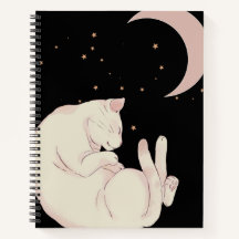 Lune de chat et de croissant