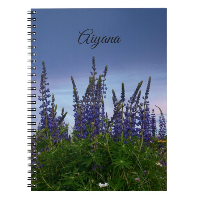 Carnet Lupins (Devant)