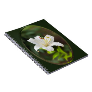 Carnet Lys blanc crépusculaire