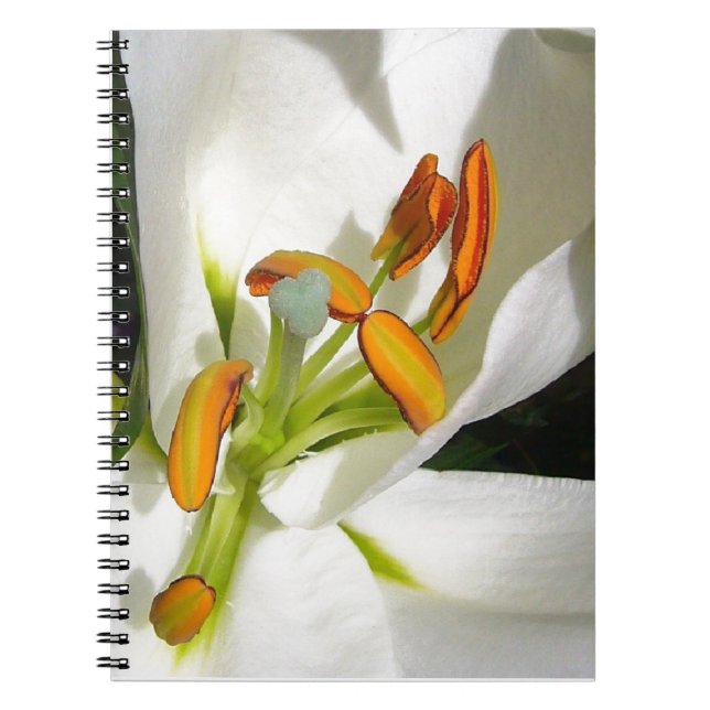 Carnet Lys blancs (Devant)