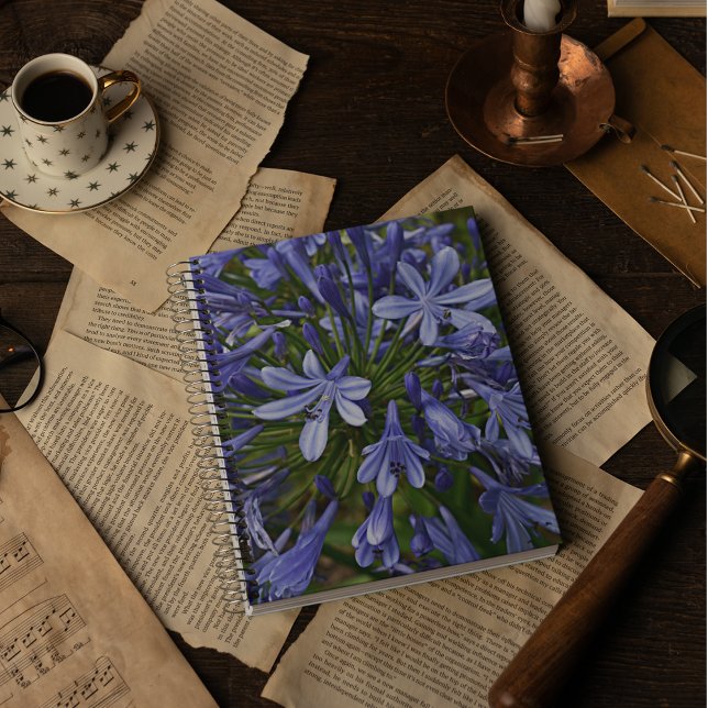 Carnet Lys bleu du Nil Agapanthus Floral (In Situ)
