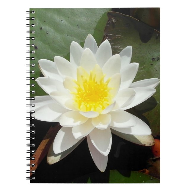 Carnet Lys d'eau (Devant)