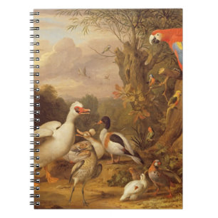 Carnet Macaw, Canards, perroquets et autres oiseaux sur u