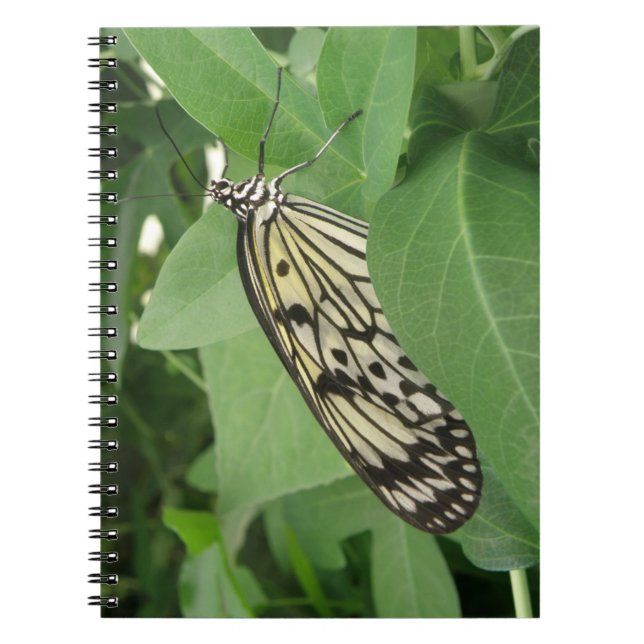Carnet Macro Papier papillon (Devant)