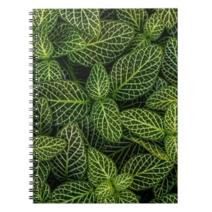 Carnet Macro photo de plantes à feuilles vertes