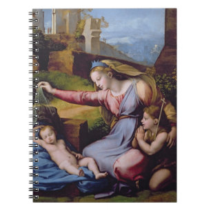 Carnet Madonna du diadème bleu ou Madonna de t