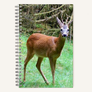 Carnet Magnifique Cerf Brocard Paysage Rural Animal
