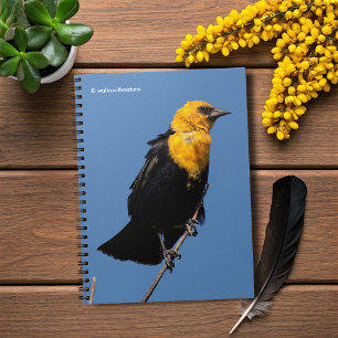 Carnet Magnifique oiseau-noir à tête jaune lors d'une jou