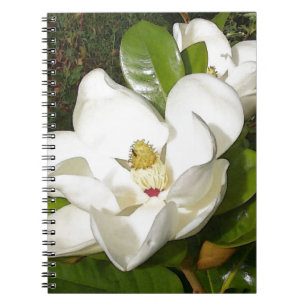 Carnet Magnolia blossom
