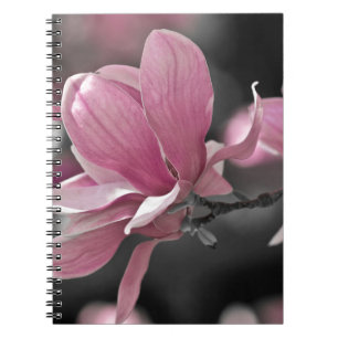 Carnet Magnolia de soucoupe rose japonaise
