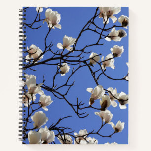 Carnet Magnolias florissants