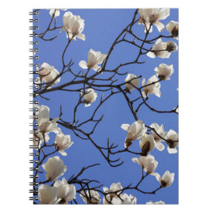 Carnet Magnolias florissants