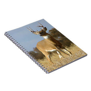 Carnet Mâle de Whitetail d'automne