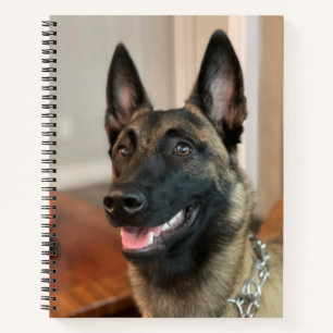 Carnet Malinois Dog