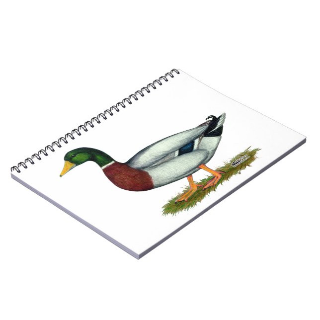 Carnet Mallard Duck Drake (Côté gauche)