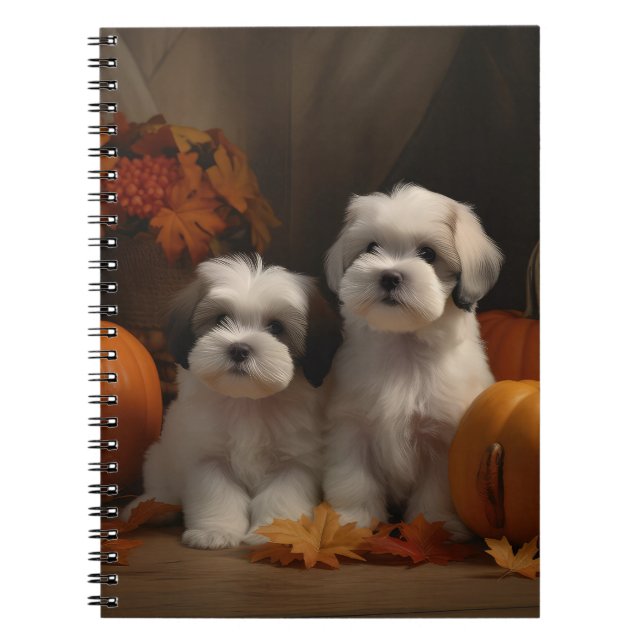 Carnet Malti tzu Puppy Citrouille d'automne (Devant)