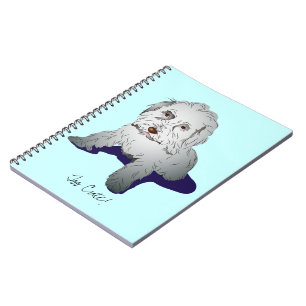 Carnet Maltipoo mignon