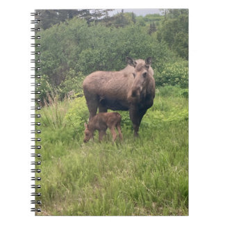Carnet Maman et bébé orignal