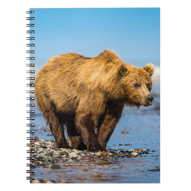 Carnet Maman ours regarde ses deux enfants (Devant)