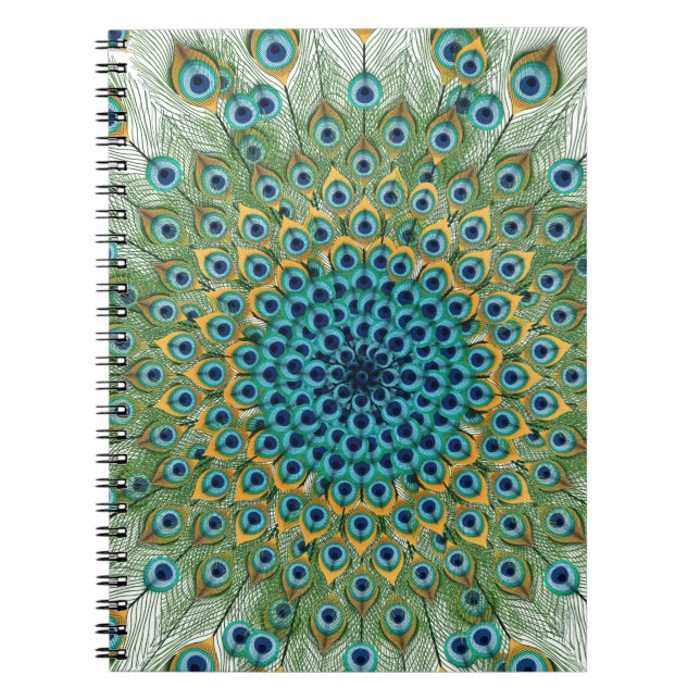 Carnet Mandala coloré de paon masculin (Devant)
