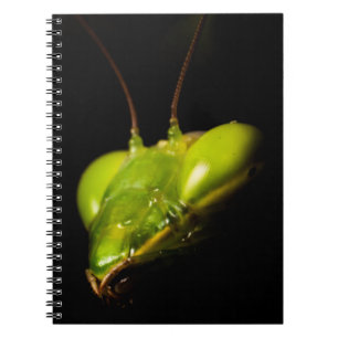Carnet Mante priante