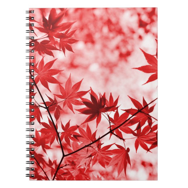 Carnet Maple Trees Feuille Design-29997 (Devant)