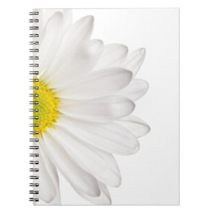 Carnet Marguerites customisées par arrière - plan de