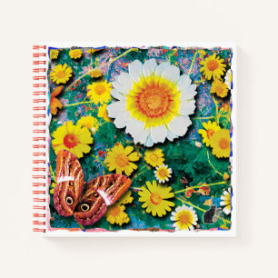 Carnet Marguerites Mai