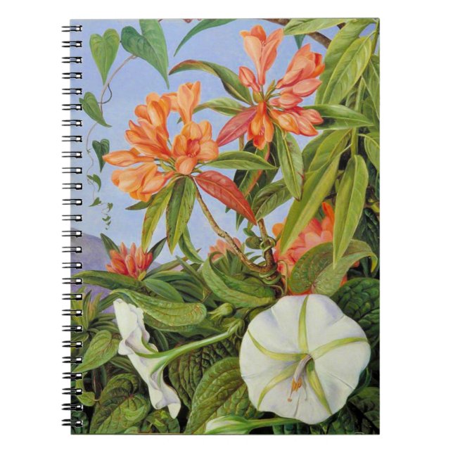 Carnet Marianne North - Javan Rhododendrum (Devant)